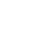 Fiat Professional